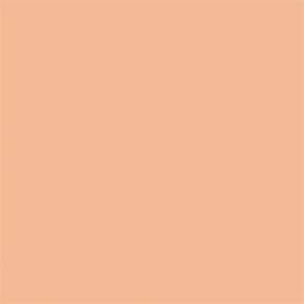 Gloss Supreme Bare Skin Foundation