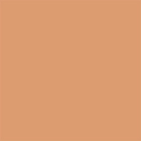 Juicy Fizz Summerproof Powder Foundation SPF 50