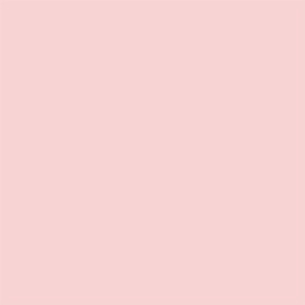 08 Tutu Rose 00