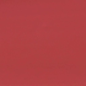 03 Rosy Coral 0