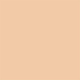 Full Coverage 2-in-1 Foundation & Concealer