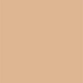 Skin Tone Concealer