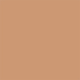 Skin Tone Concealer