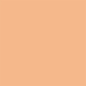 Skin Lover Refining Face Powder Foundation