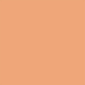 Skin Lover Refining Face Powder Foundation