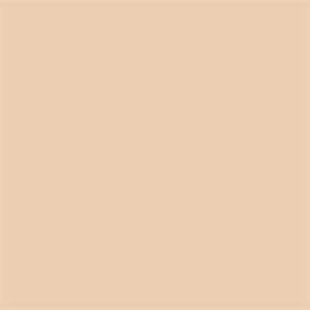 Matte Fusion Pressed Powder