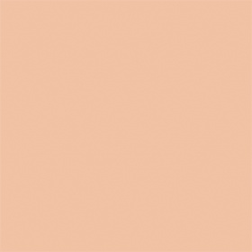 4 NR Neutral Rose