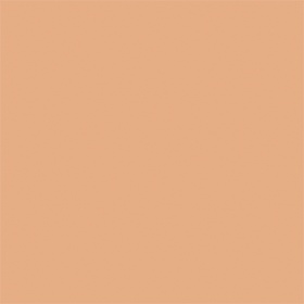 6 NR Neutral Rose