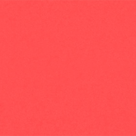 503 Coral 1