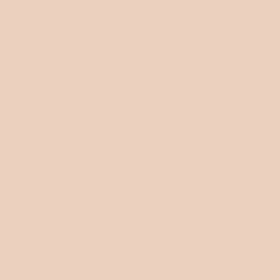 SPF POWDER FDT 01