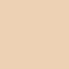 SPF POWDER FDT 02