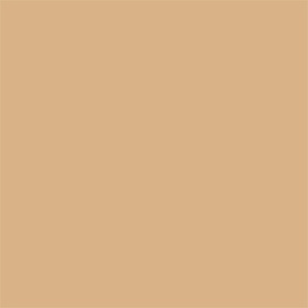 Skin Tone Foundation