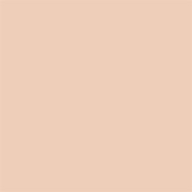 Weightless Perfection Wet And Dry Powder Foundation