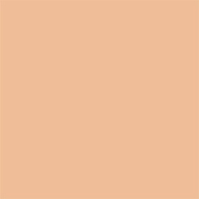 Full Coverage 2-in-1 Foundation & Concealer