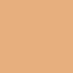Full Coverage 2-in-1 Foundation & Concealer