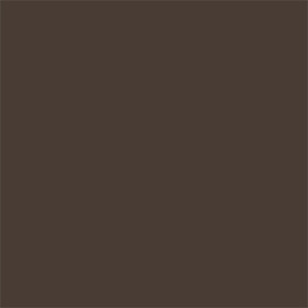 Lasting Eyebrow Gel