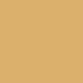 233 Gold 70