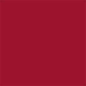 Velvet Passion Matte Lipstick
