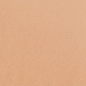 Skin Trainer CC Blur