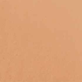 Skin Trainer CC Blur