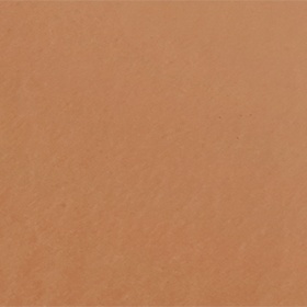 Skin Trainer CC Blur